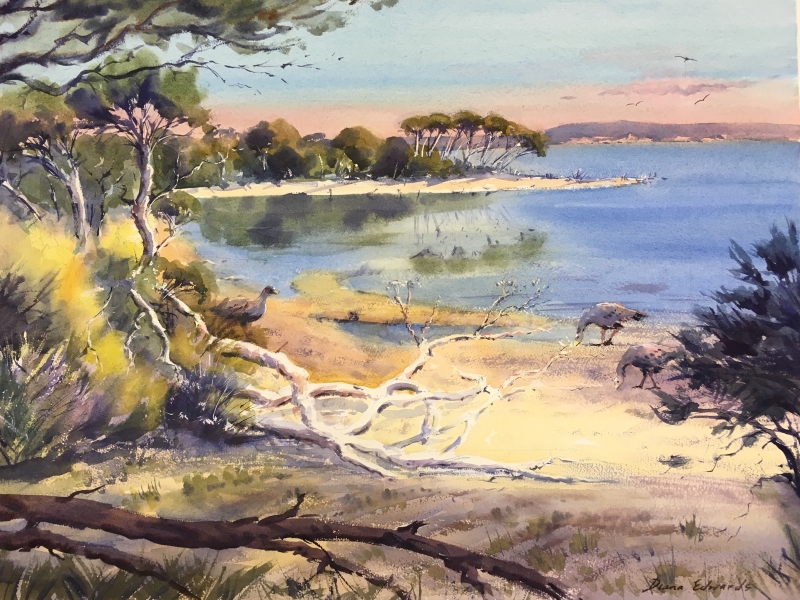 Colours of Morning - Swan Bay