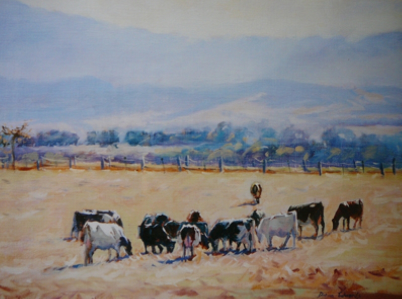 Fresians - Yarra Glen Dairy