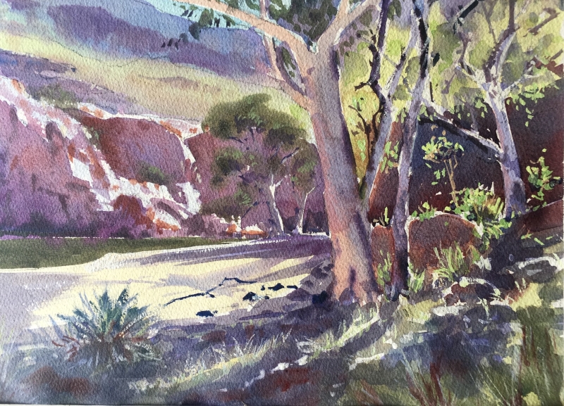 Magic of Ormiston Gorge