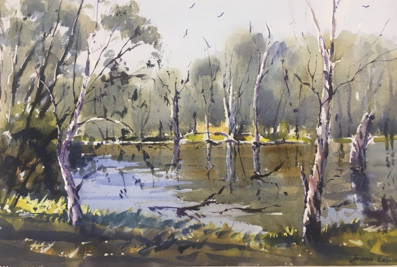 Reflections - Murray Billabong