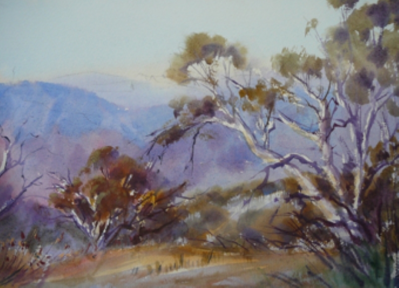 Snow Gums - Mt Bulla