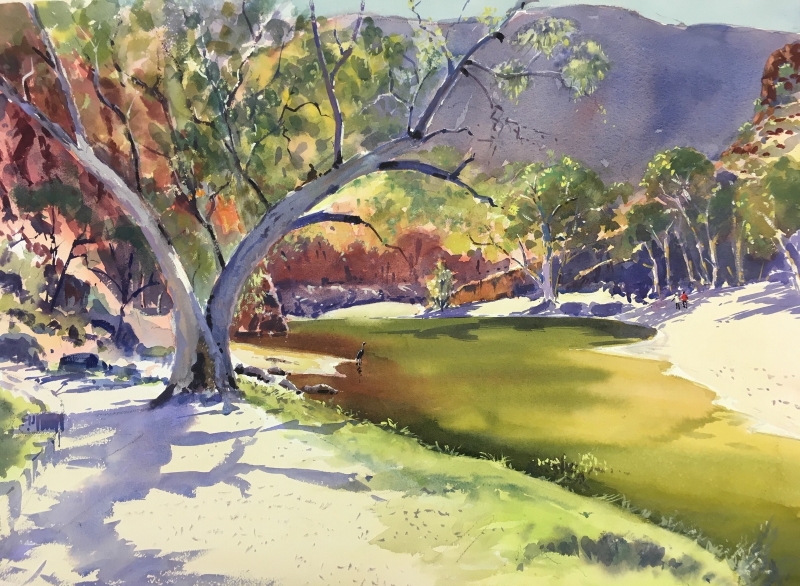 Summer Light - Ormiston Gorge